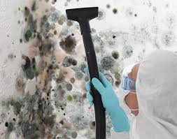 Professional Mold Prevention & Removal  in Virginia Gardens, FL